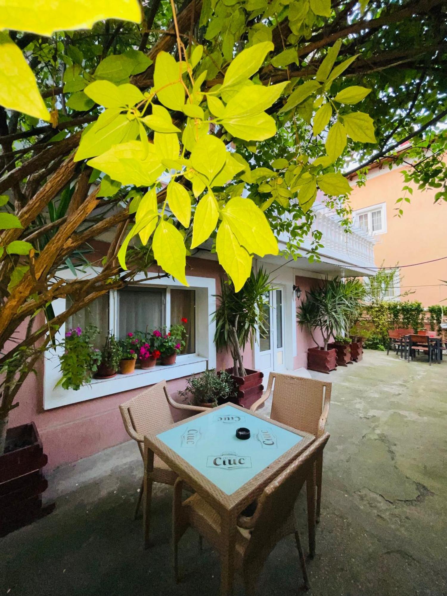 Pensiune Perla Dunarii Giurgiu Exterior photo